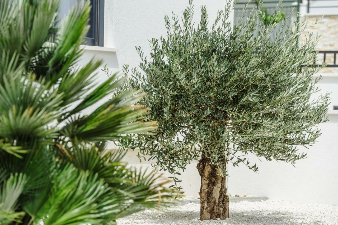 Apartments Villa Dalmatia Trogir Exterior foto